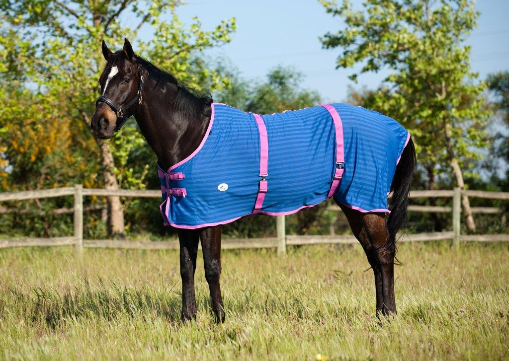 Mesh-Sweat-Sheet Mesh-Sweat-Sheet Sweat Sheet horse rug 5 Types Of Horse Rugs For Horses Mesh Sweat Sheet