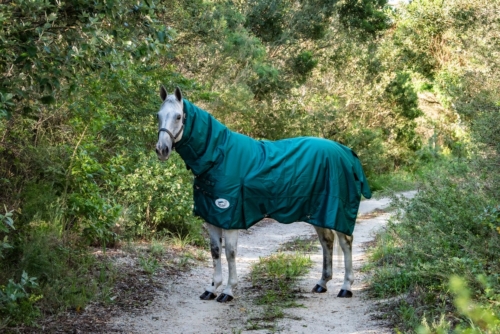 Outdoor Waterproof Rug - Full Hood