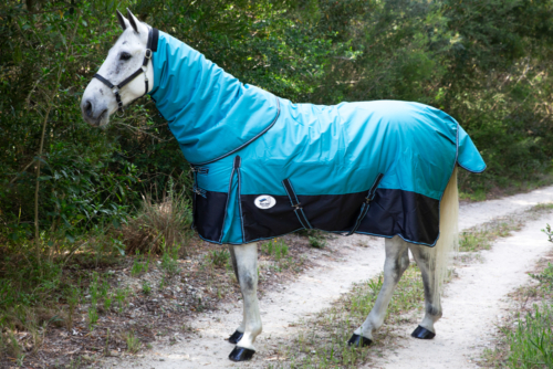 Neck Piece for Outdoor Rug